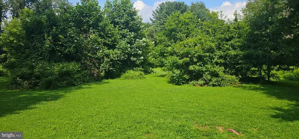 a view of a green yard