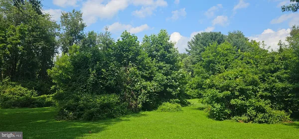 a view of a garden with plants