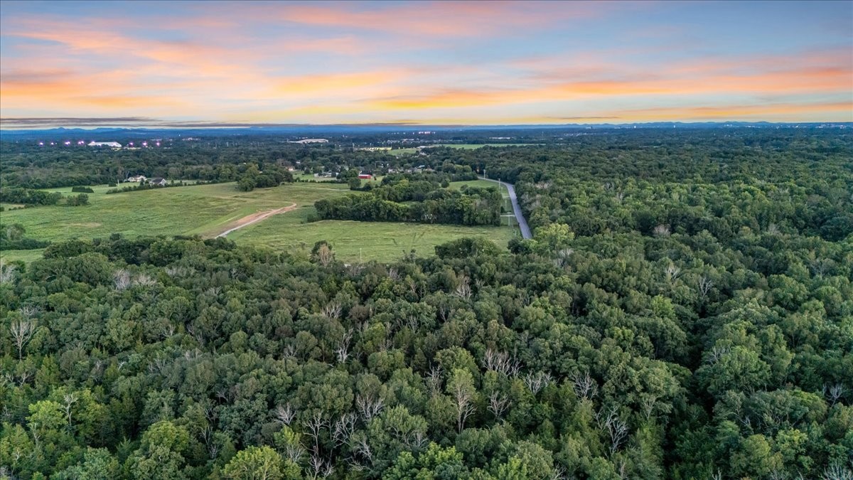 4204 Leanna Road Murfreesboro, TN 37129 - Photo 18 of 18 a view of a lush green hillside and a houses