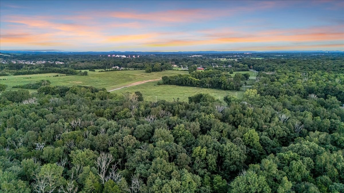 4204 Leanna Road Murfreesboro, TN 37129 - Photo 2 of 18 a view of a city with lush green forest
