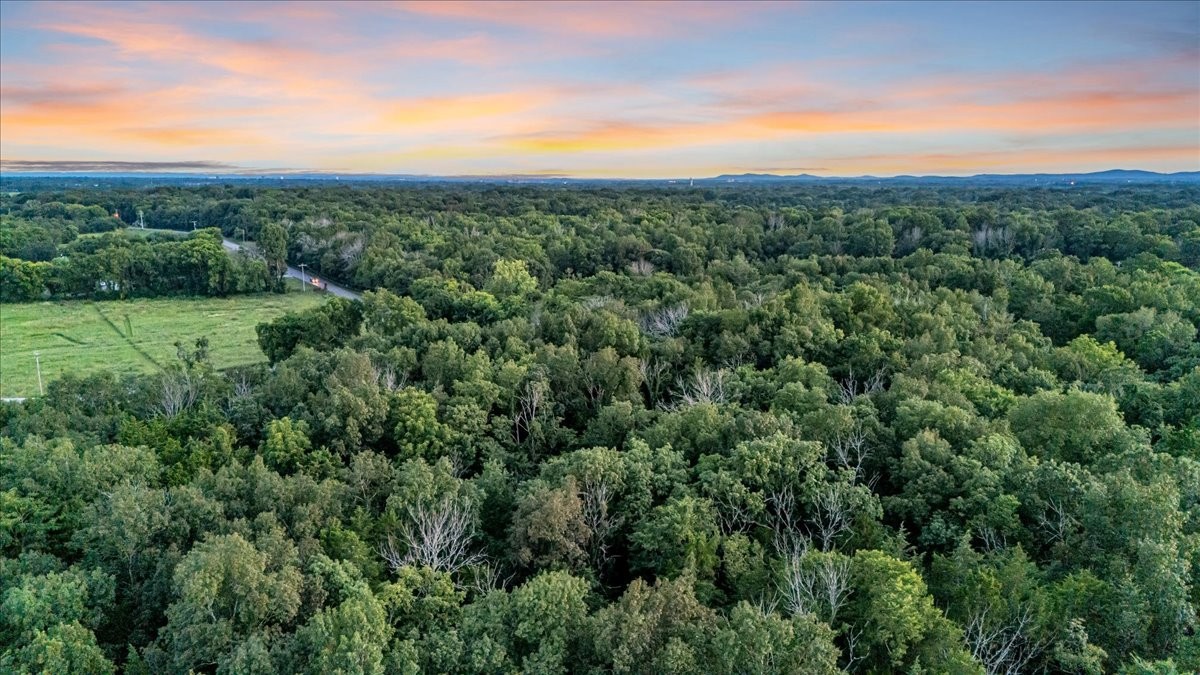 4204 Leanna Road Murfreesboro, TN 37129 - Photo 8 of 18 a view of a green field with lots of trees in the background