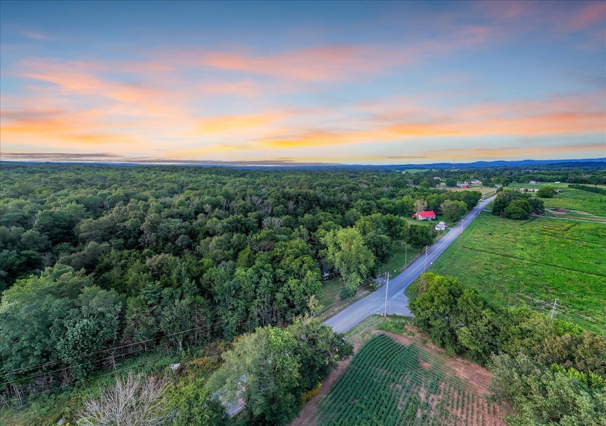 4204 Leanna Road Murfreesboro, TN 37129 - Photo 9 of 18 a view of a flower in a garden