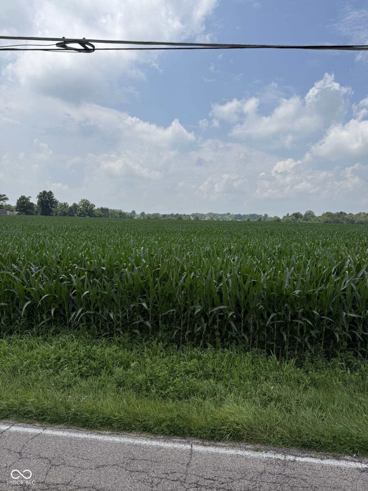 0 Morrison Road Muncie, IN 47304 - Photo 4 of 7