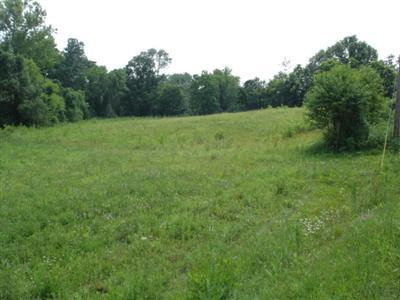3663 Crowe Ridge Road Winchester, KY 40391 - Photo 6 of 6 Photo 6