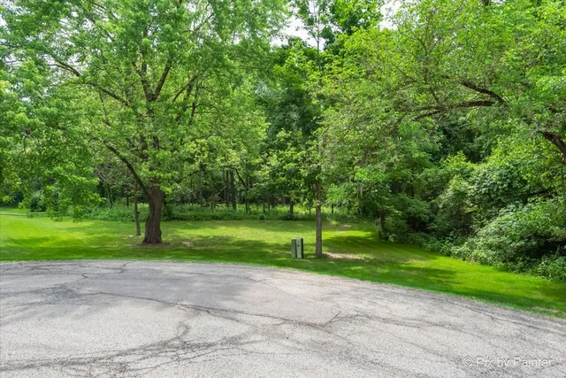 a green field with lots of trees in it
