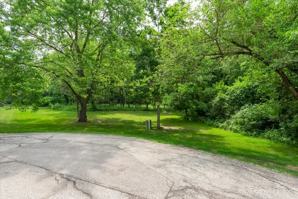a view of a park with large trees