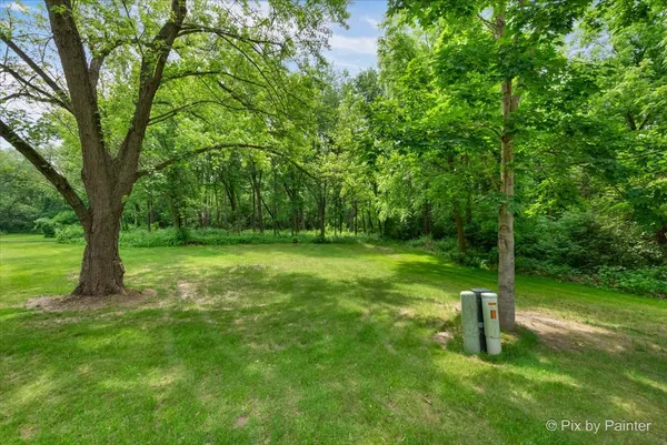 a view of a garden with a tree