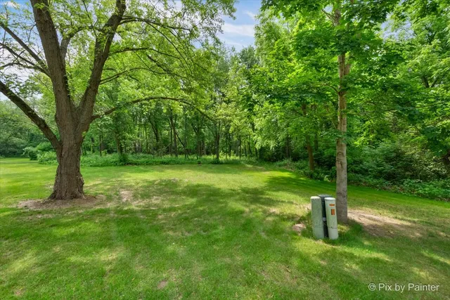 a view of a garden with a tree