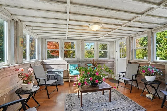 a living room filled with furniture and a potted plant