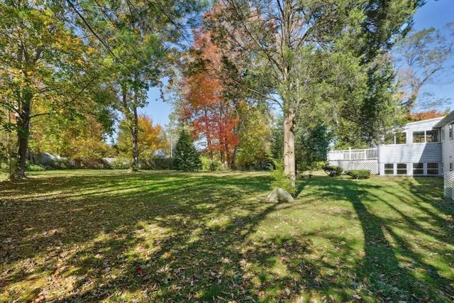 a view of a park with large trees
