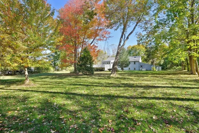 a view of a park with large trees