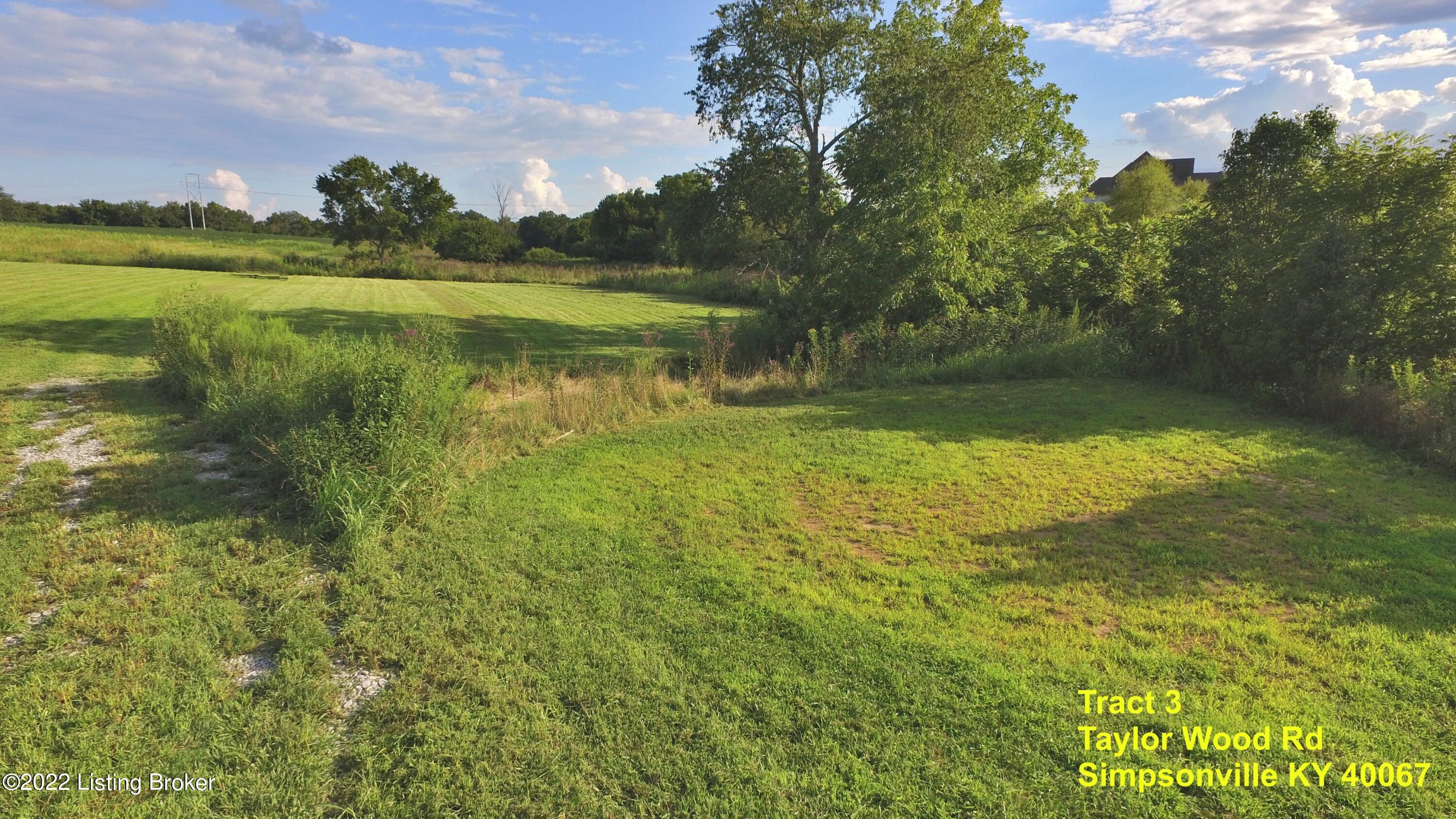 3 Taylor Wood Road Simpsonville, KY 40067 - Photo 12 of 13 TR3_12