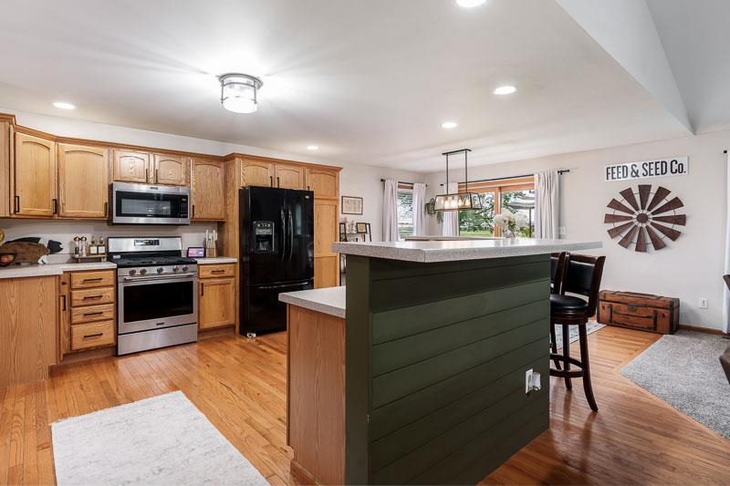 320 Lake Lida Lane Rochelle, IL 61068 - Photo 11 of 43 a kitchen with kitchen island granite countertop a sink cabinets and stainless steel appliances