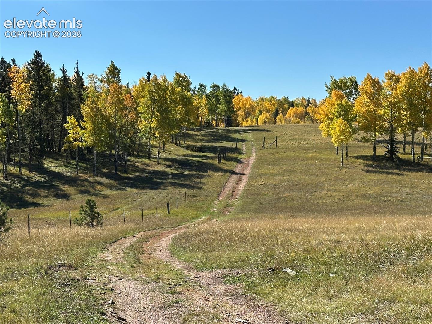2940 NORTH Rd Divide Divide, CO 80814 - Photo 3 of 27 Gallery Image 3