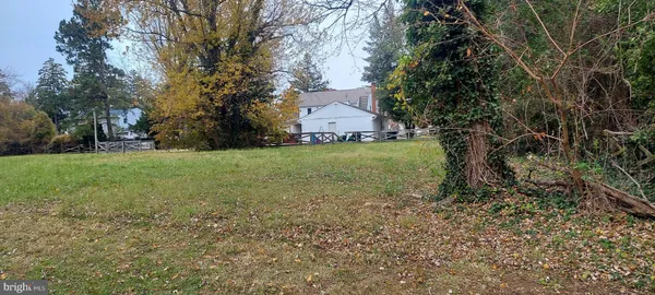 a view of a backyard with large trees