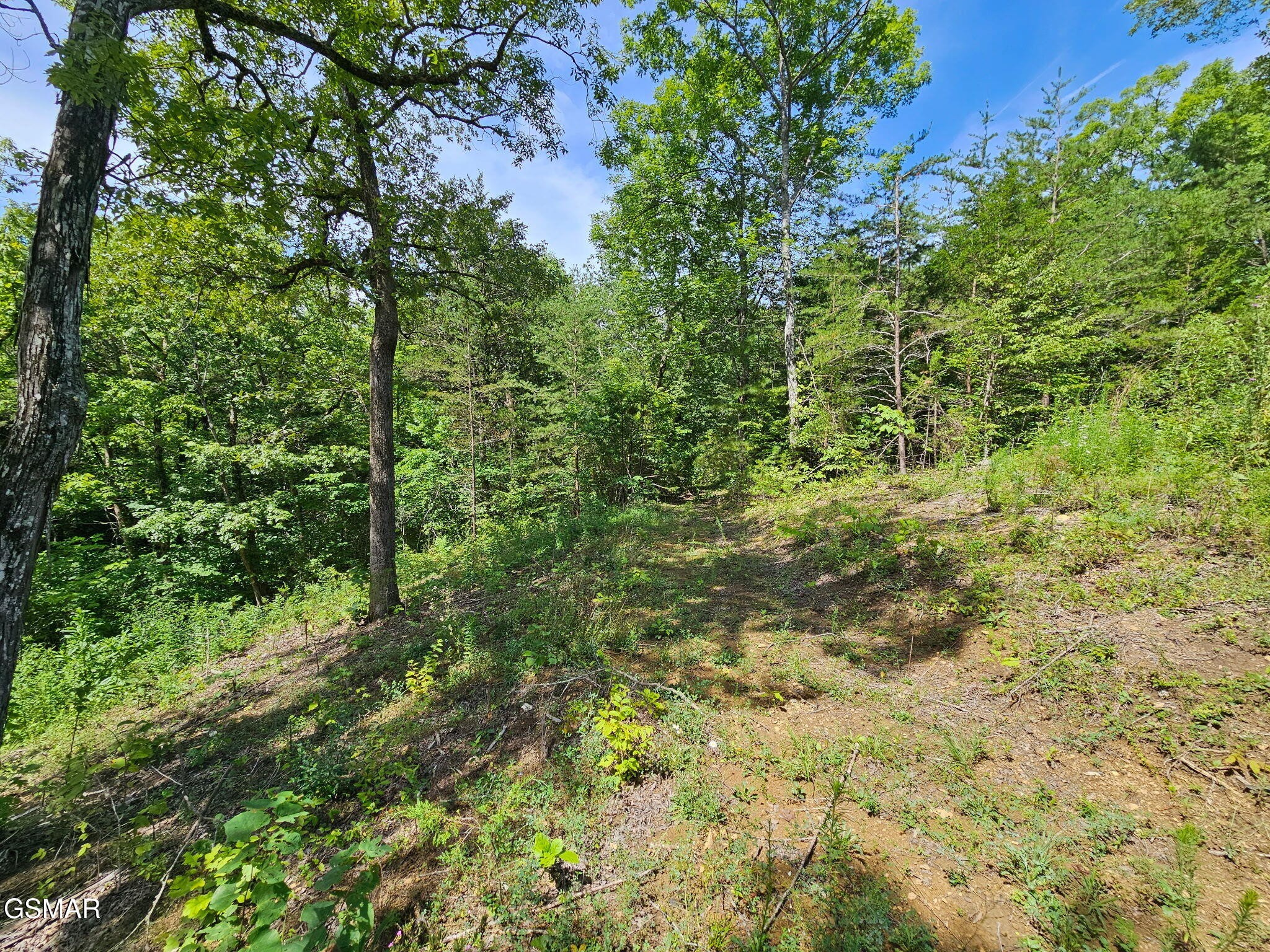 67910 Pleasure Road Sevierville, TN 37876 - Photo 14 of 20 Gallery Image 14