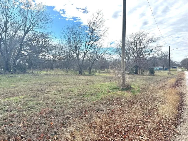 a view of a yard with a tree