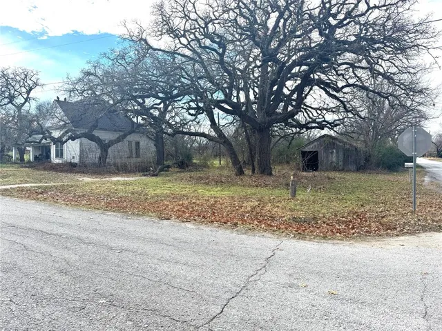 a view of a yard with a tree