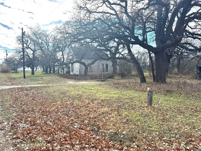 a view of a yard with a tree