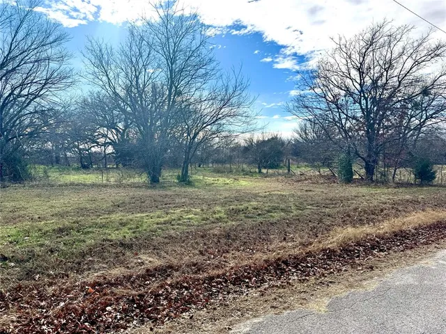 a view of a yard with large trees