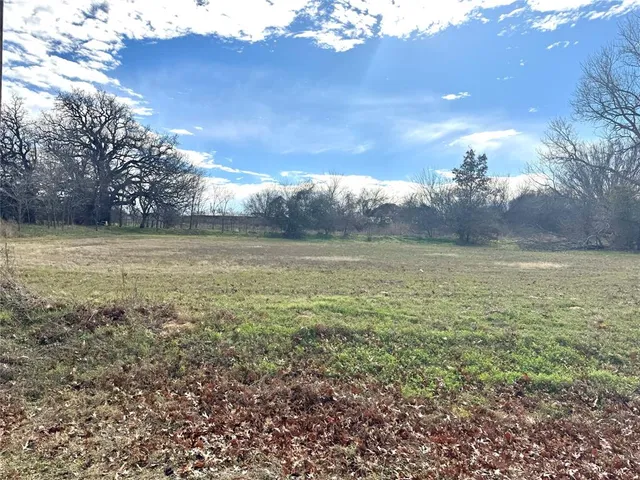a view of a field with an ocean
