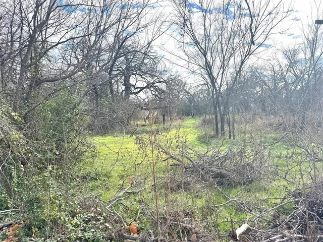 a view of yard with green space