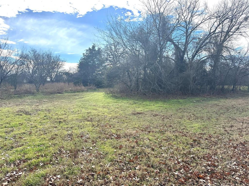 108 North Agnew Street Boyd, TX 76023 - Photo 6 of 16