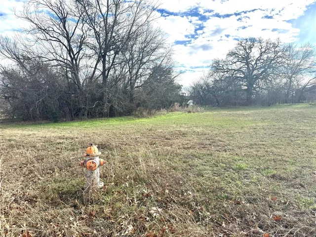 a view of a field with an trees