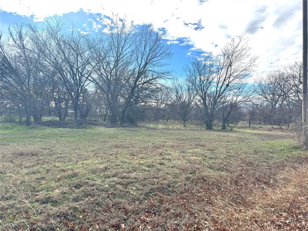 108 North Agnew Street Boyd, TX 76023 - Photo 10 of 16