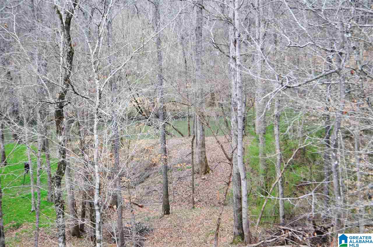 230 West Trestle Way Helena, AL 35080 - Photo 10 of 12