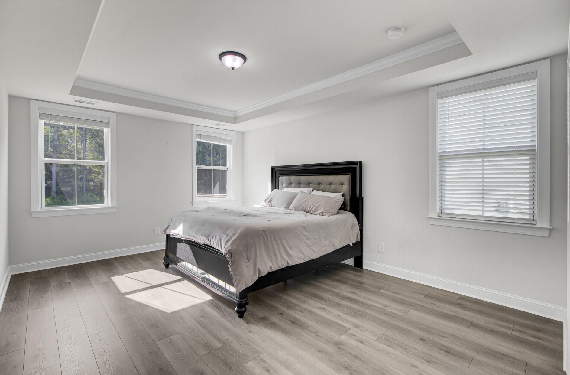 164 Boots Branch Road Summerville, SC 29485 - Photo 23 of 43 Master Bedroom with coffered ceiling
