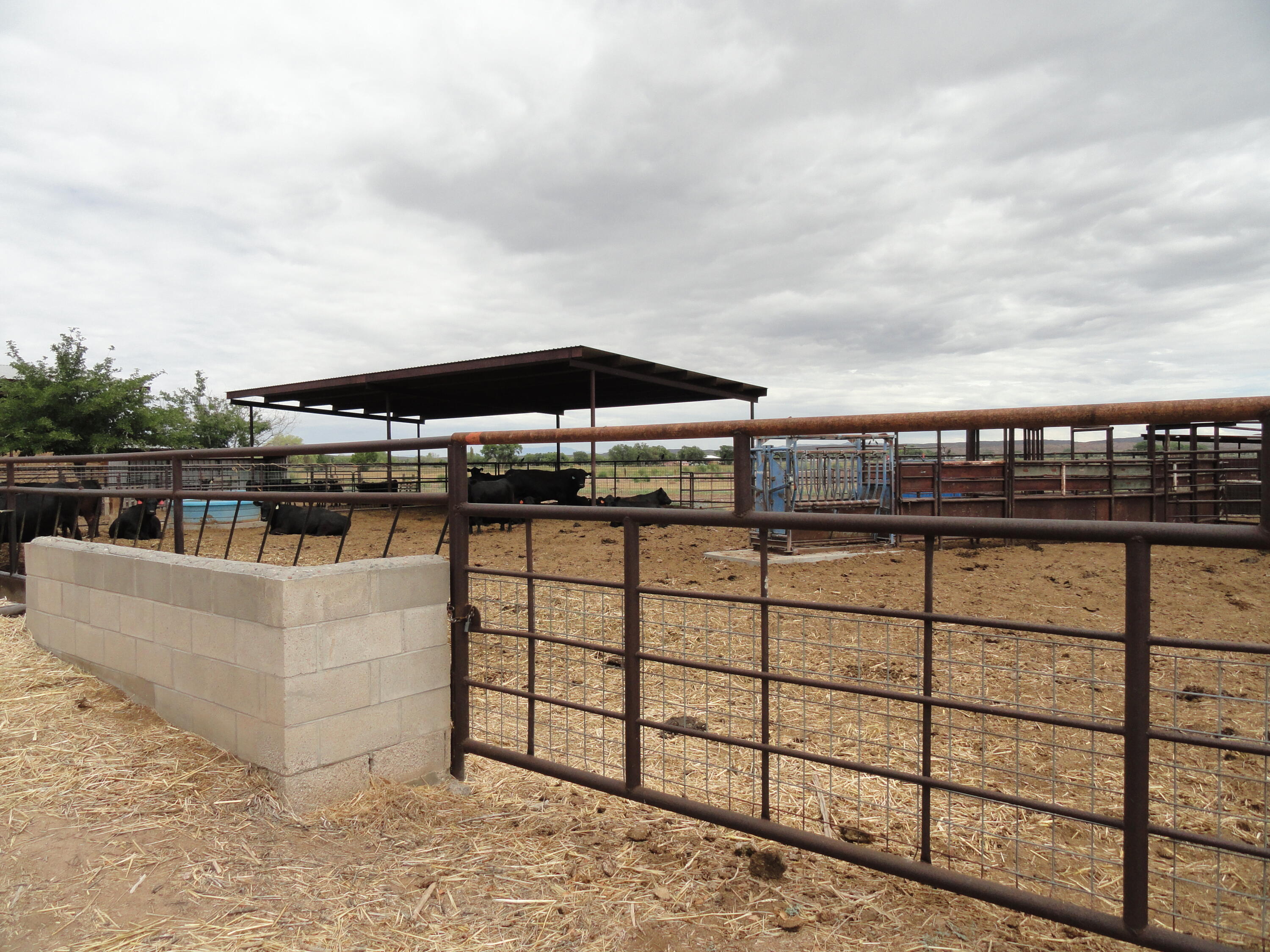 Carrasco Farm Lane Road Polvadera, NM 87828 - Photo 25 of 48 Gallery Image 25
