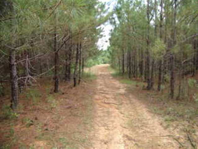 0 White School Road Woodville, MS 39669 - Photo 1 of 1 Main View