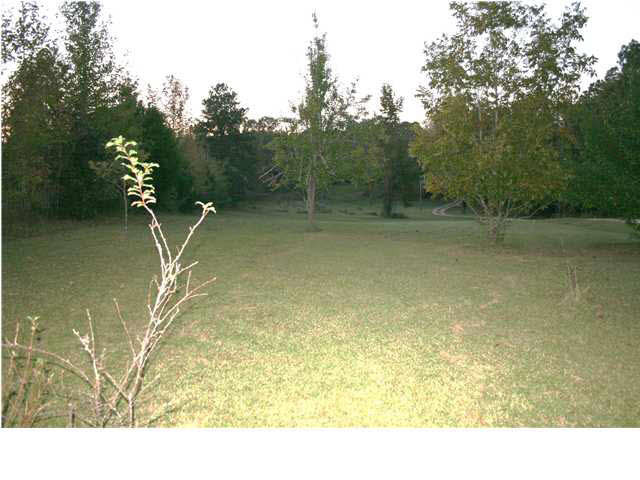 138 Deer Ridge Drive Flora, MS 39071 - Photo 8 of 11 Photo 8