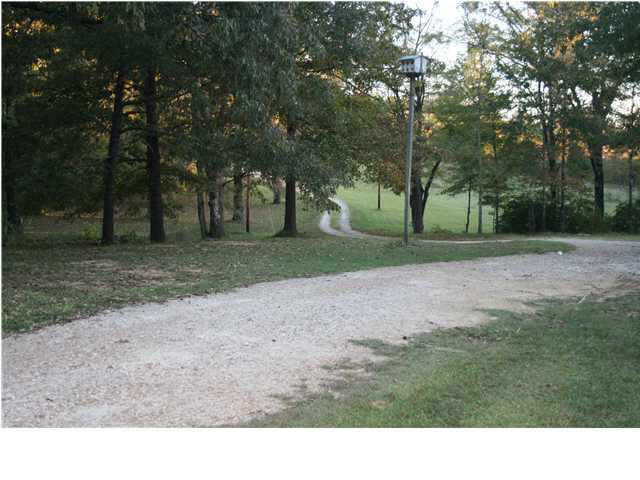 138 Deer Ridge Drive Flora, MS 39071 - Photo 10 of 11 Photo 10