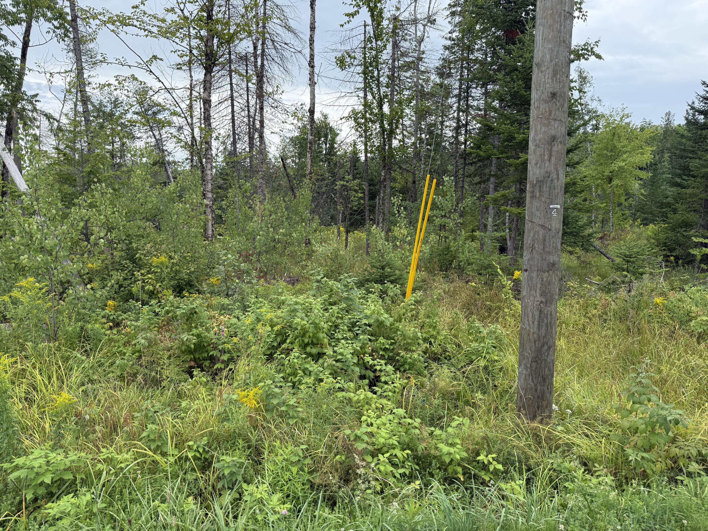 11 Hammond Brook Road Monson, ME 04464 - Photo 16 of 19 PowerPole4