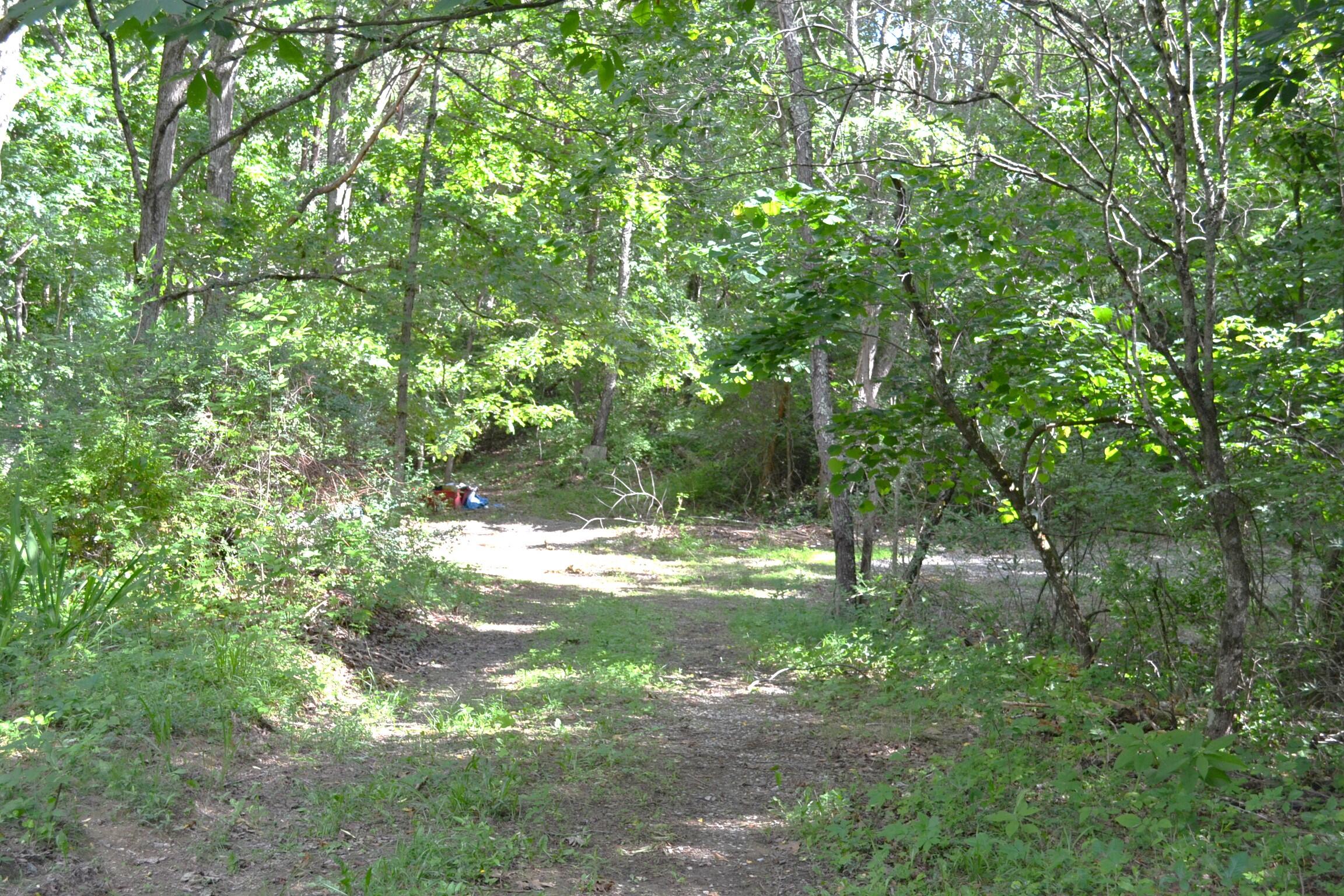 1546 Wilson Mill Road Peterstown, WV 24963 - Photo 12 of 35 Gallery Image 12