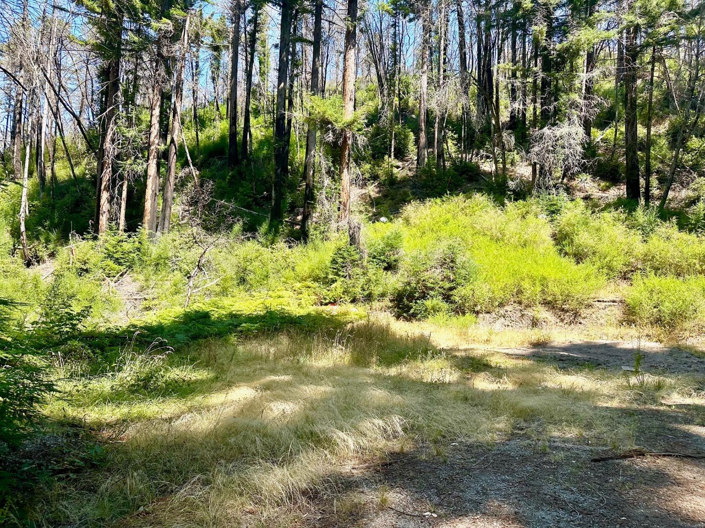 4301 Whitehouse Creek Road Pescadero, CA 94060 - Photo 12 of 23 a view of lake view