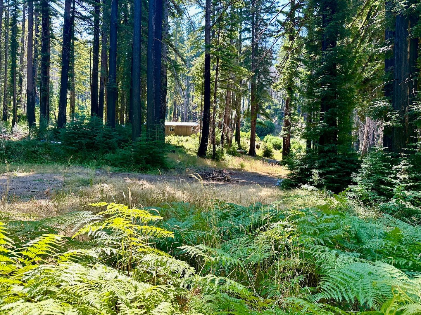 4301 Whitehouse Creek Road Pescadero, CA 94060 - Photo 13 of 23 a view of backyard with green space