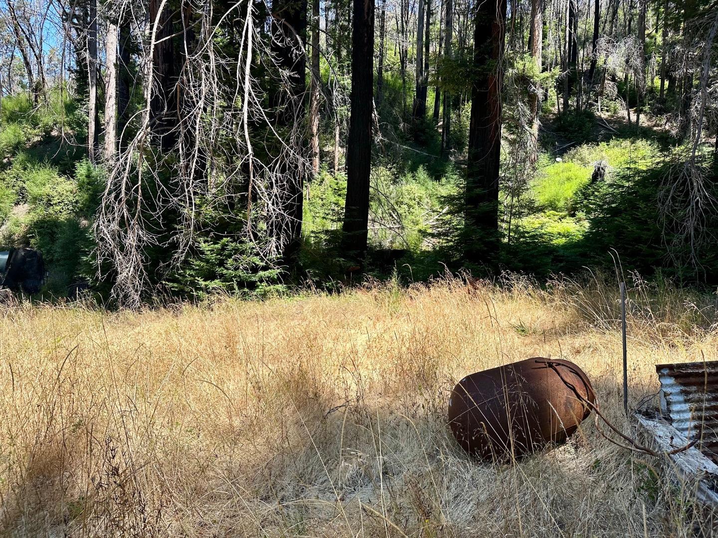 4301 Whitehouse Creek Road Pescadero, CA 94060 - Photo 19 of 23 a view of yard