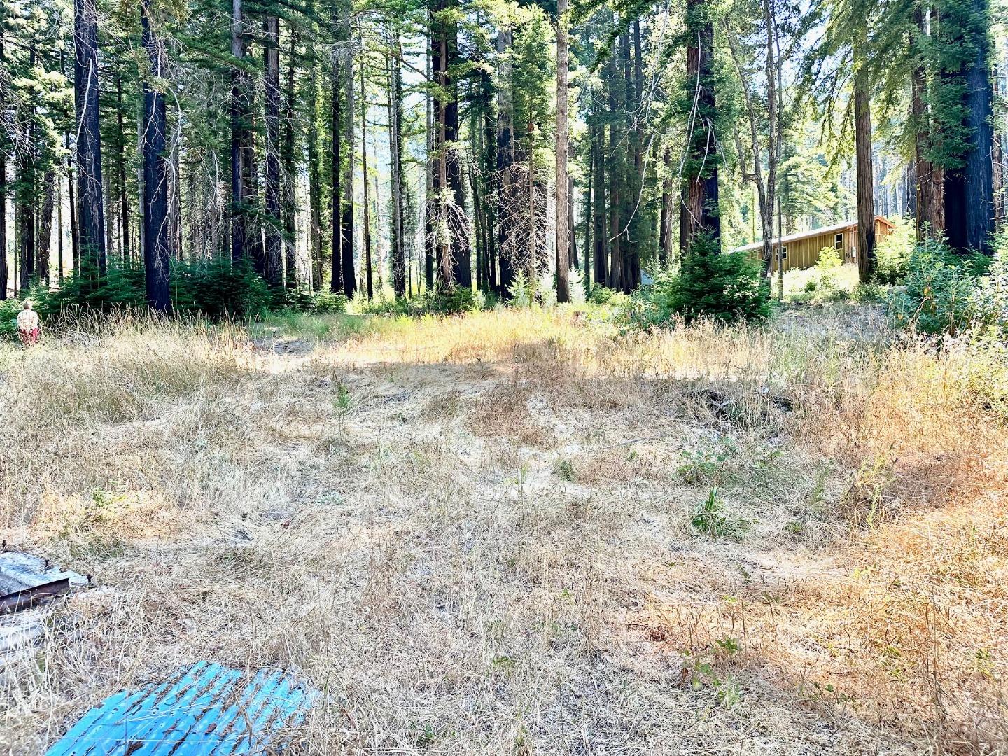 4301 Whitehouse Creek Road Pescadero, CA 94060 - Photo 20 of 23 a view of outdoor space with trees