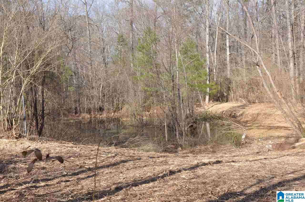 4104 Dean Road Pinson, AL 35126 - Photo 5 of 9