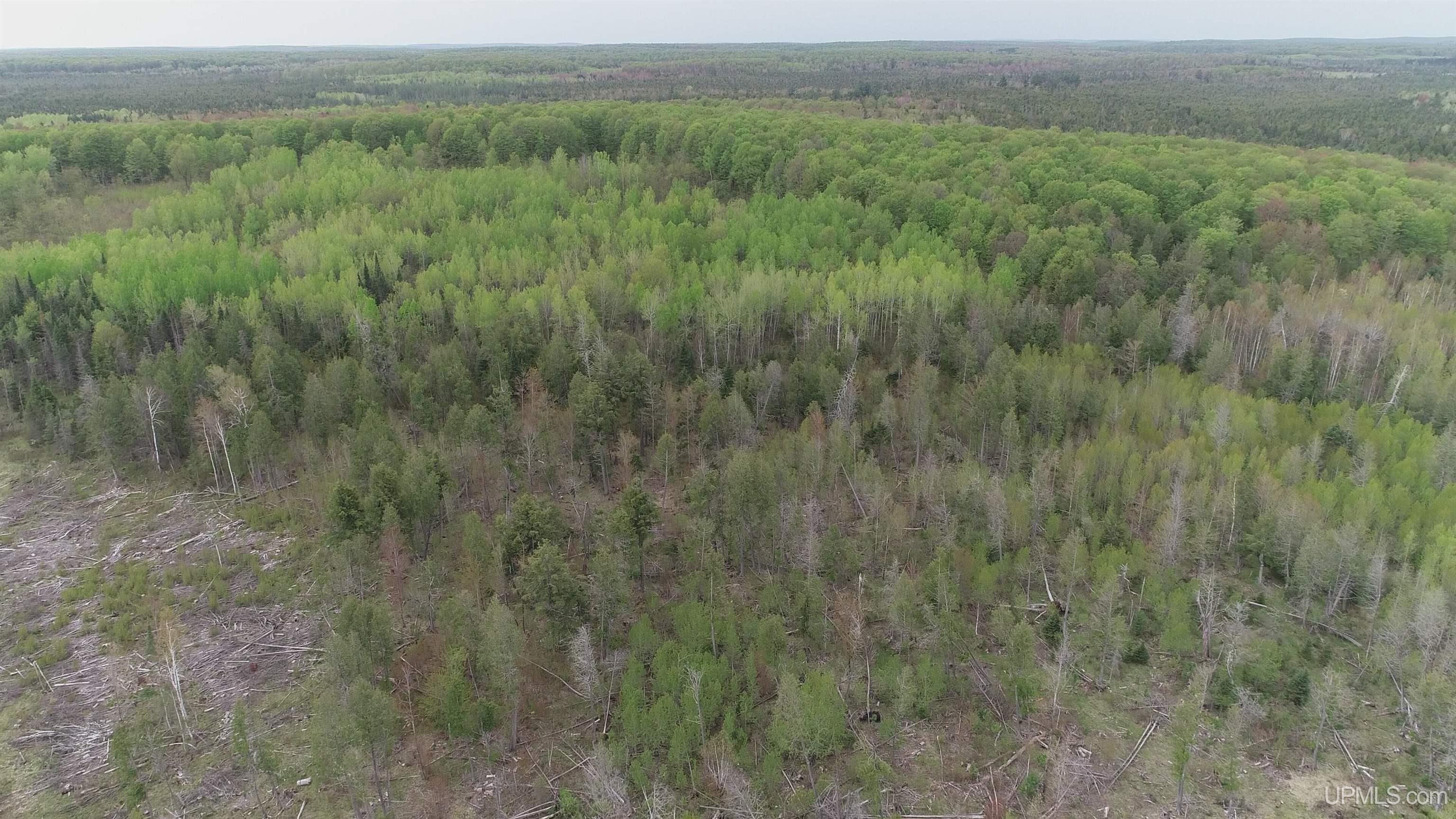 9 Rd Foster City Mi 49834 Road Felch, MI 49831 - Photo 8 of 32