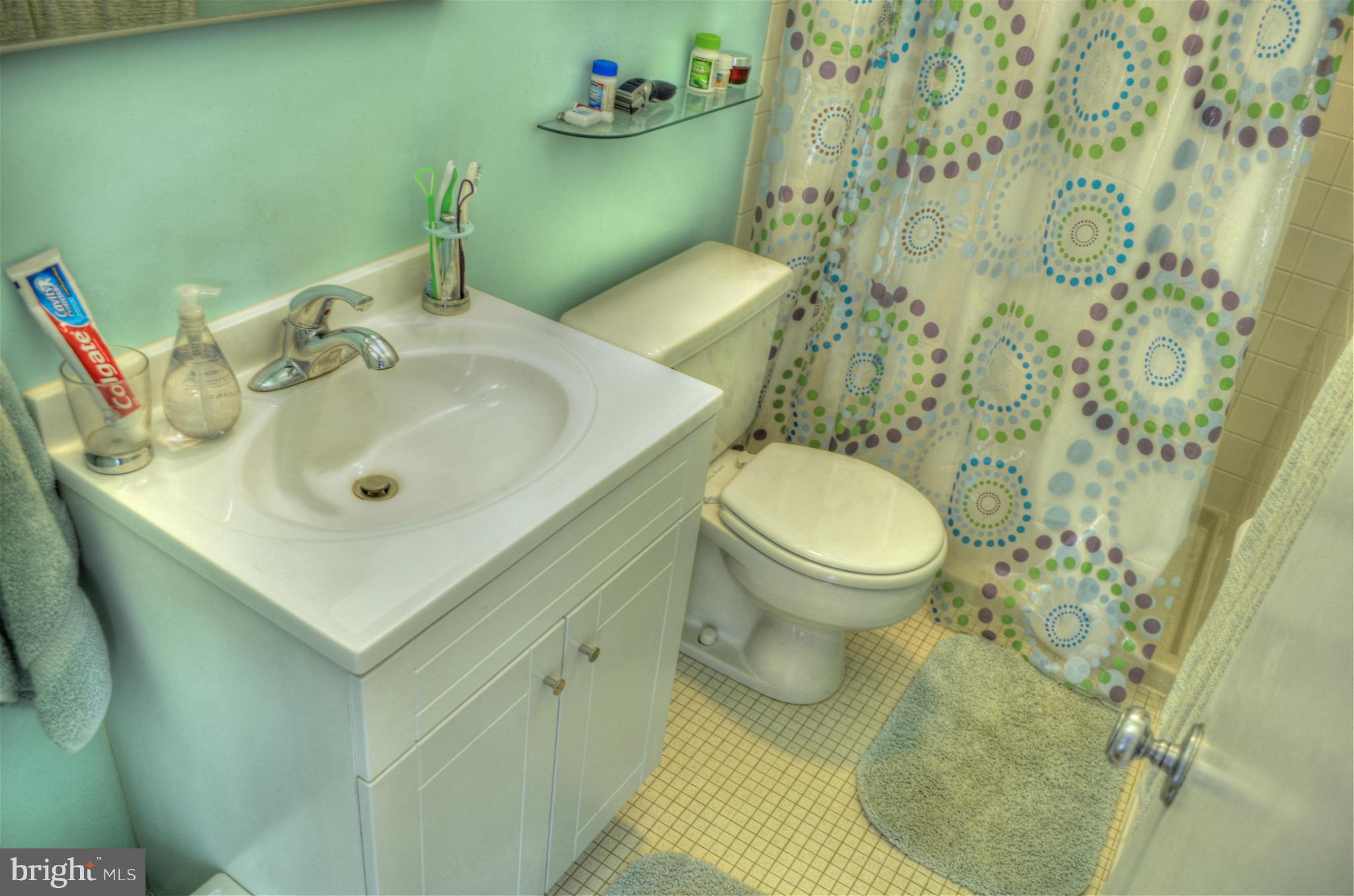 1608 Wainwright Drive Reston, VA 20190 - Photo 15 of 24 Bath (Master)