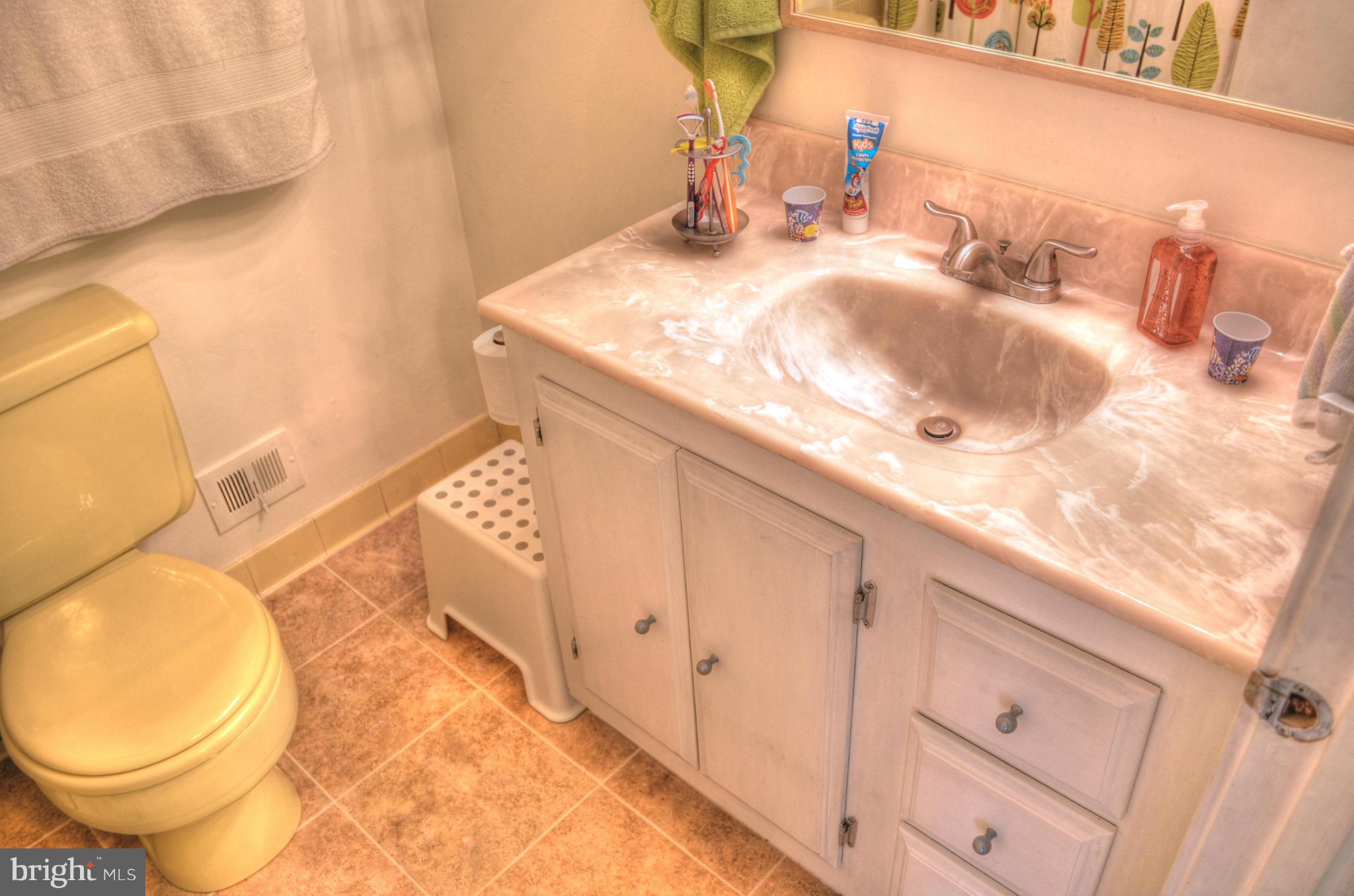 1608 Wainwright Drive Reston, VA 20190 - Photo 17 of 24 Bath
