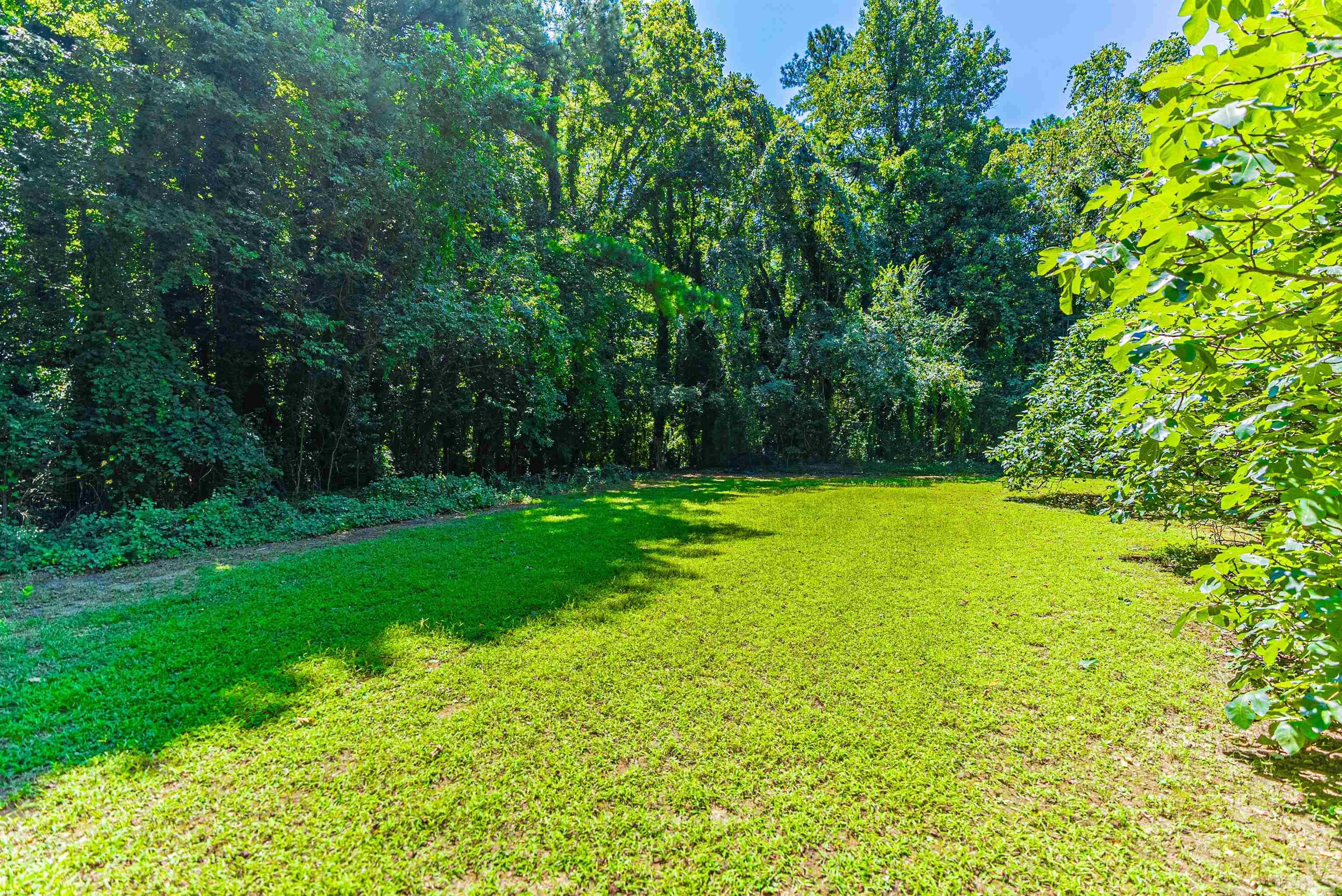 457 Rose Lane Raleigh, NC 27610 - Photo 22 of 26 a view of a yard with a trees