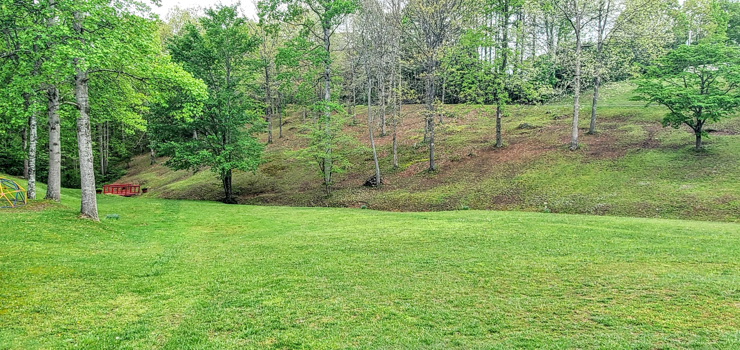 163 Eagles Nest Road Corbin, KY 40701 - Photo 43 of 44 20210505_130544