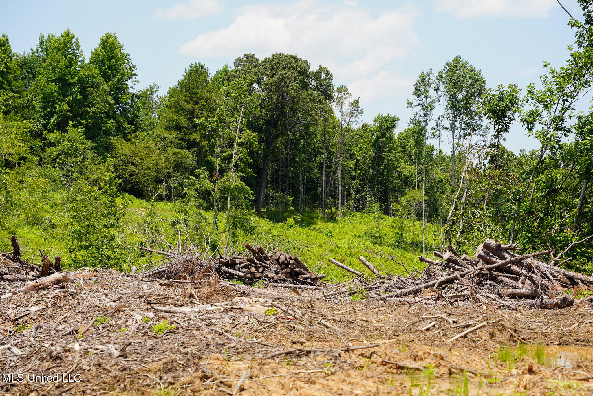 Pleasant Ridge Road Durant, MS 39063 - Photo 12 of 51 DSC01365