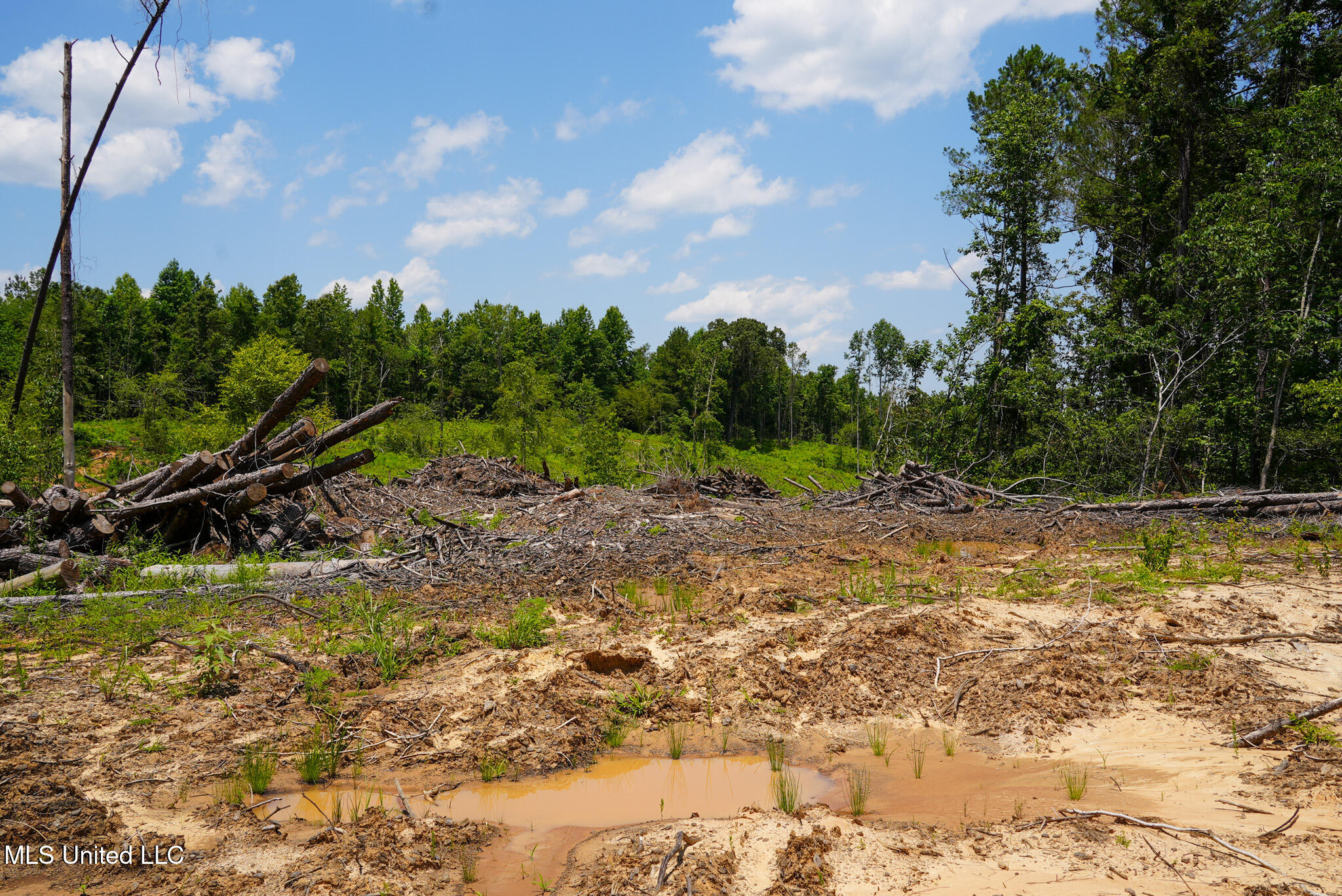 Pleasant Ridge Road Durant, MS 39063 - Photo 13 of 51 DSC01366