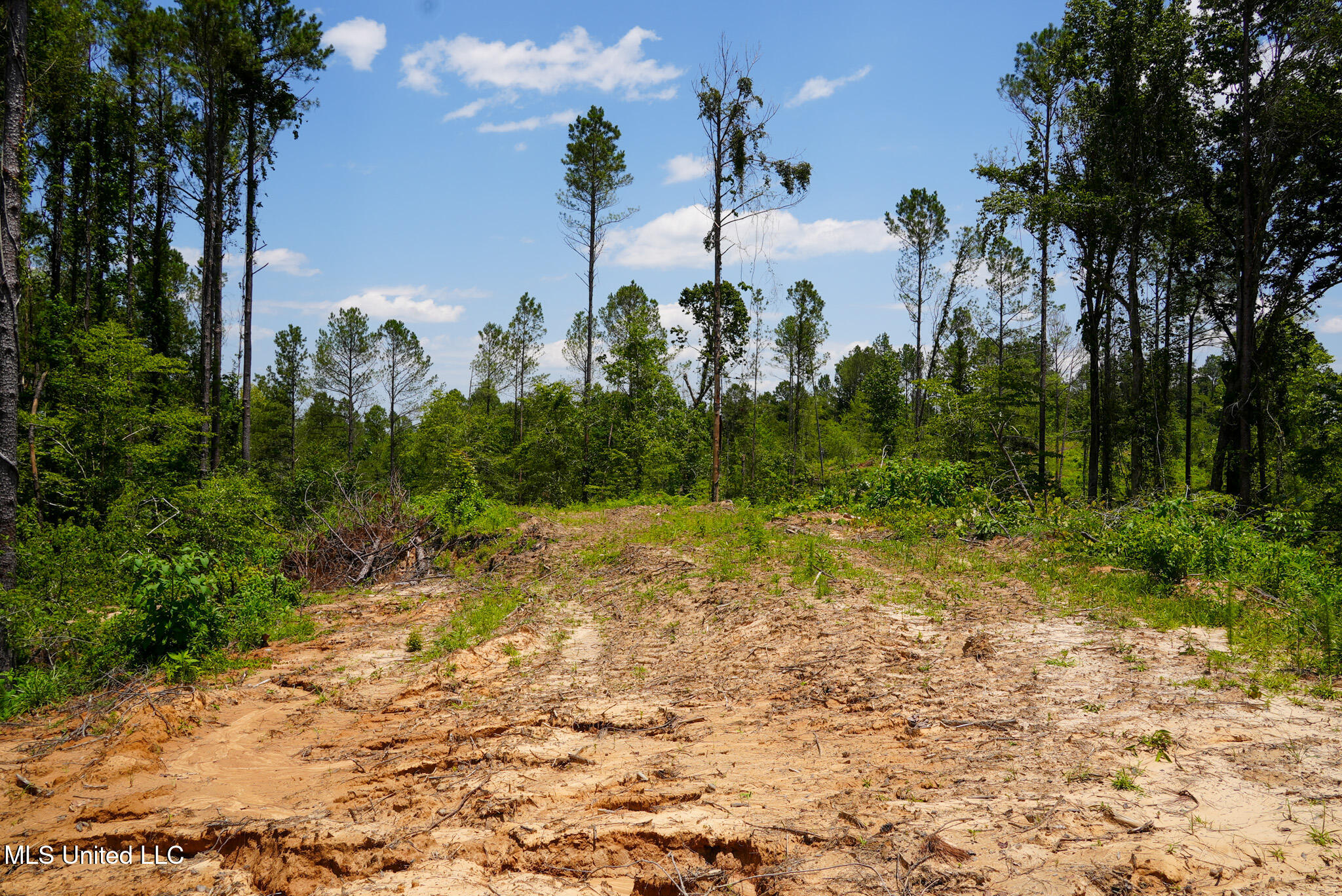 Pleasant Ridge Road Durant, MS 39063 - Photo 14 of 51 DSC01367